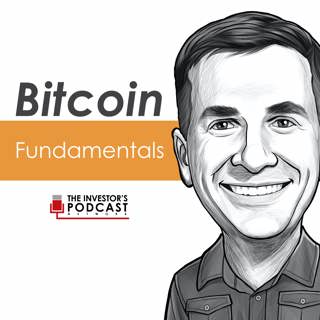 BTC048: Does the Stock to Flow Model Eventually Break w/ Plan B (Bitcoin Podcast)