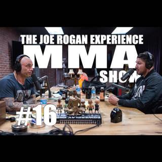 JRE MMA Show #16 with Brendan Schaub