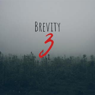 59: Brevity 3