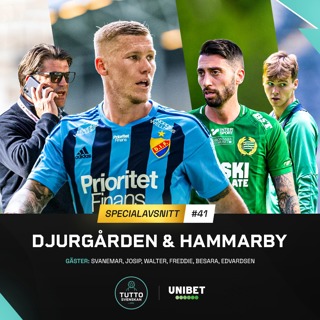 #41 Djurgården & Hammarby