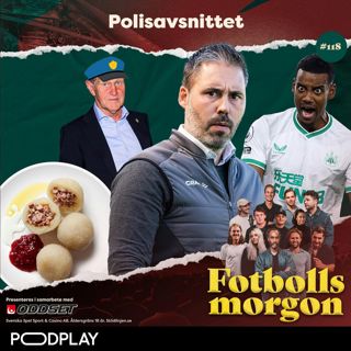 118. Polisavsnittet