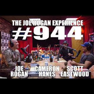 The Joe Rogan Experience