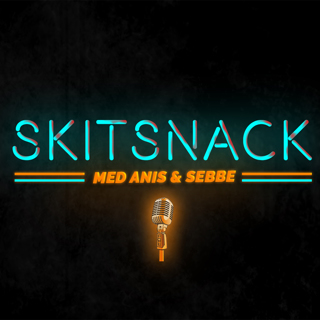 SKITSNACK #6: ANIS & VALLE ÄR TVÅ IDIOTER