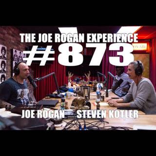 The Joe Rogan Experience