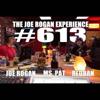 The Joe Rogan Experience