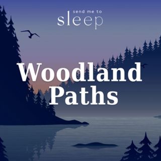 Woodland Paths Trailer