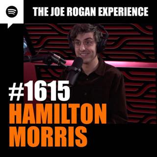 #1615 - Hamilton Morris