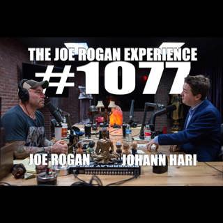 #1077 - Johann Hari