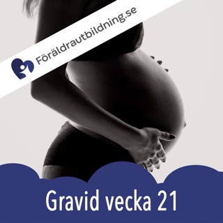 Gravid vecka 21 - graviditetskalender