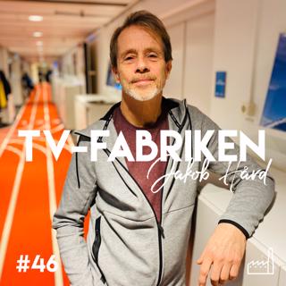 TV-fabriken