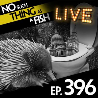 396: No Such Thing As The Echidna Prince Charming
