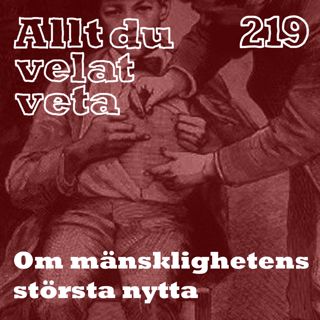 Allt du velat veta