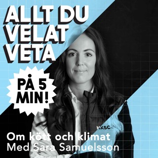 Allt du velat veta