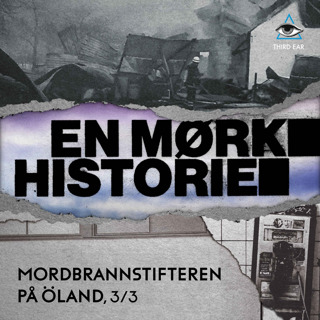 Mordbrannstifteren på Öland - 3/3