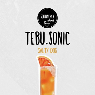 Salty Dog | Tebu.Sonic