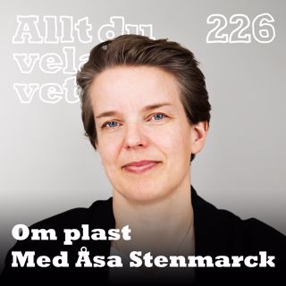 Allt du velat veta