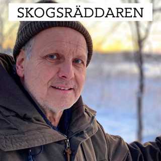 Skogsräddaren