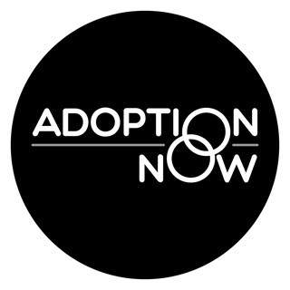 Our Road to Adoption: Earl and Rebecca’s Story from the UK [S5E15]