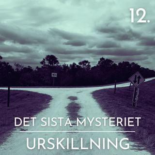 Det sista mysteriet