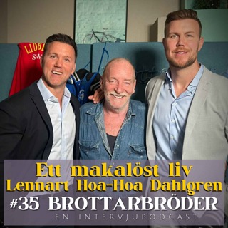 Brottarbröder