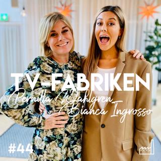 TV-fabriken