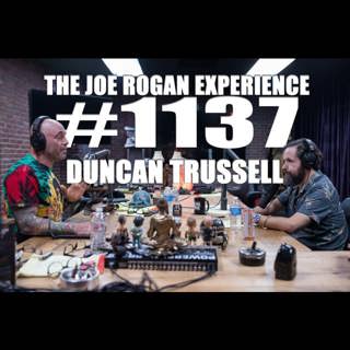 The Joe Rogan Experience