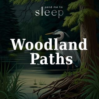 Woodland Paths: The Messengers of Summer