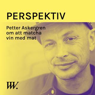 Perspektiv - med Per Grankvist