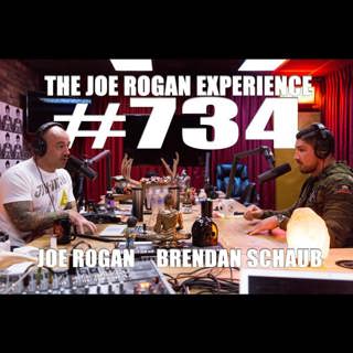 #734 - Brendan Schaub