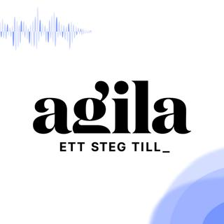 Agila • Fullstackutvecklare