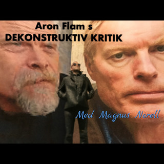 ARON FLAM DEKONSTRUKTIV KRITIK 3.33333 MAGNUS NORELL MB MSB