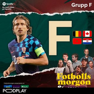 VM-guide: Grupp F