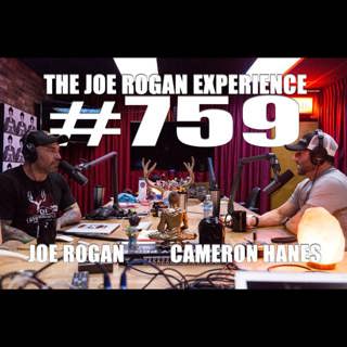 The Joe Rogan Experience