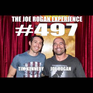 The Joe Rogan Experience