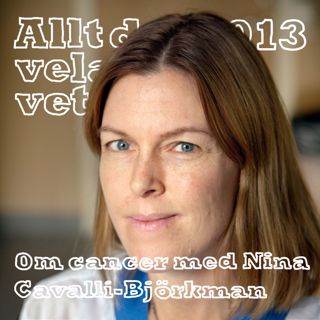 Allt du velat veta