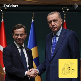 Derfor skapte Tyrkia trøbbel for den svenske Nato-drømmen