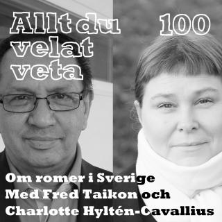 Allt du velat veta