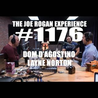 The Joe Rogan Experience