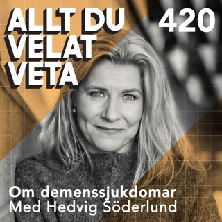 Allt du velat veta