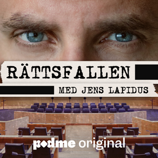 Rättsfallen | Psykosmordet - därför blev det inte rättspsyk