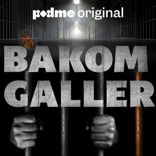 Bakom Galler