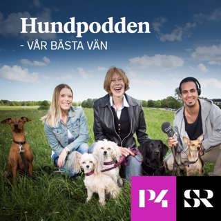 Hundpodden - Vår bästa vän