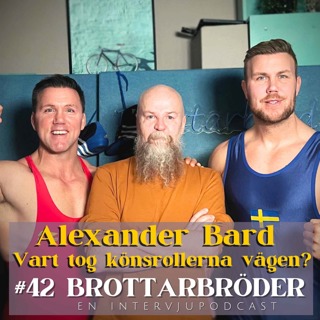 Brottarbröder