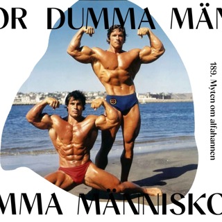 Dumma Människor