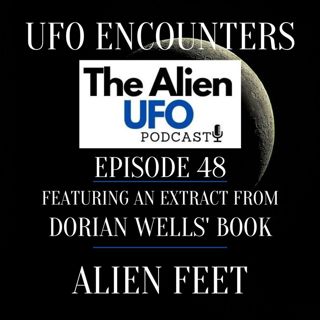 UFO Encounters Ep48 | A Past Life as a Grey ET