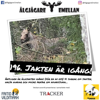 Älgjägare emellan