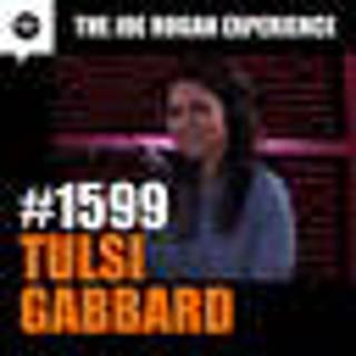 #1599 - Tulsi Gabbard