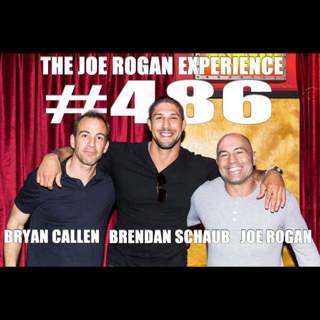 #486 - Brendan Schaub & Bryan Callen