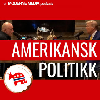 Amerikansk politikk