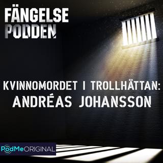 Kvinnomordet i Trollhättan: Andréas Johansson